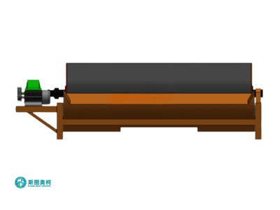 Magnetic separator with dual processing capability