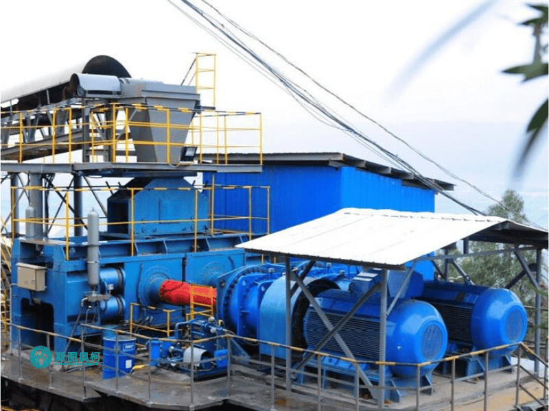 Roller crusher for coal crushing